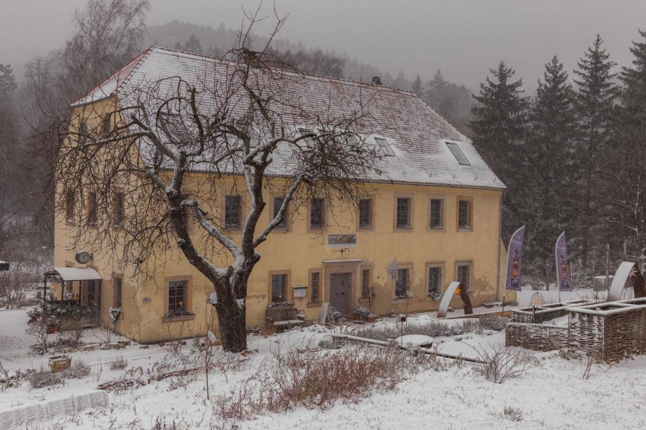 Holzwerk Oybin Διαμέρισμα Εξωτερικό φωτογραφία